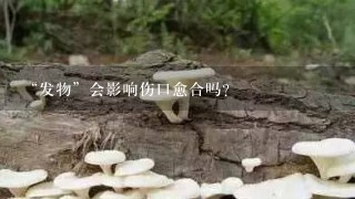 “发物”会影响伤口愈合吗？