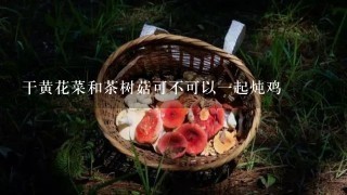 干黄花菜和茶树菇可不可以一起炖鸡