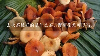 去火茶最好的是什么茶,?野菊花差可以吗,?