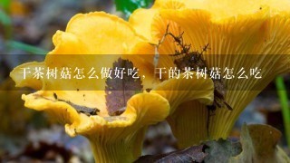 干茶树菇怎么做好吃，干的茶树菇怎么吃