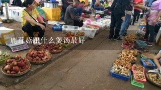 鹿茸菇跟什么煲汤最好