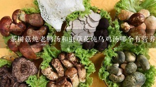 茶树菇炖老鸭汤和虫草花炖乌鸡汤哪个有营养