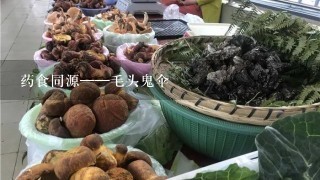 药食同源——毛头鬼伞