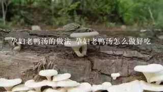 孕妇老鸭汤的做法 孕妇老鸭汤怎么做好吃