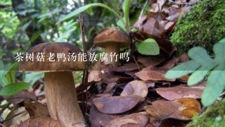 茶树菇老鸭汤能放腐竹吗