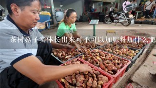 茶树菇子实体长出来可不可以加肥料加什么肥料