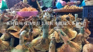 茶树菇炖鸡汤要什么时候才能放入茶树菇？