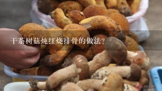 干茶树菇炖红烧排骨的做法？