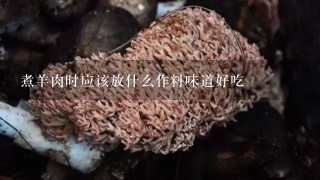 煮羊肉时应该放什么作料味道好吃