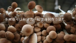 茶树菇可以和什么一起煲汤制作方法？