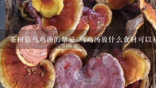 茶树菇乌鸡汤的禁忌 乌鸡汤放什么食材可以补血补气