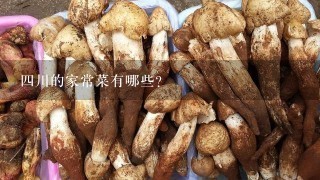 四川的家常菜有哪些？