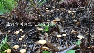 适合公司食堂的菜谱有什么?