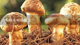 干锅茶树菇做法？