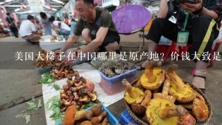 美国大榛子在中国哪里是原产地？价钱大致是多少钱？