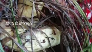 煲汤食谱$大全?