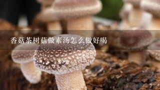 香菇茶树菇做素汤怎么做好喝