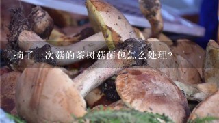 摘了一次菇的茶树菇菌包怎么处理？