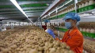 茶树菇老鸭汤可以放鹿茸吗?