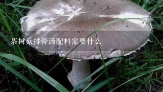 茶树菇排骨汤配料需要什么