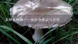 茶树菇鸭汤——滋补身体益气开胃