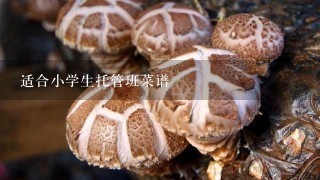 适合小学生托管班菜谱