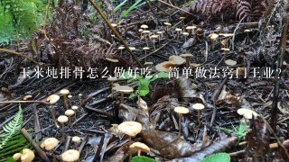 玉米炖排骨怎么做好吃，简单做法窍门王业？