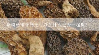 茶树菇排骨汤还可以加什么进去一起煲?