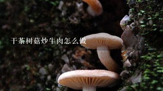 干茶树菇炒牛肉怎么做