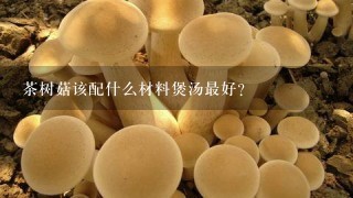 茶树菇该配什么材料煲汤最好？