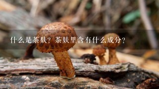 什么是茶麸？茶麸里含有什么成分？