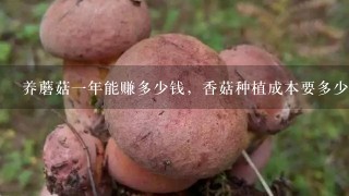 养蘑菇一年能赚多少钱，香菇种植成本要多少？