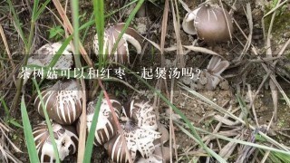 茶树菇可以和红枣一起煲汤吗？