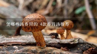 煲哪些汤养胃的 4款养胃汤推荐