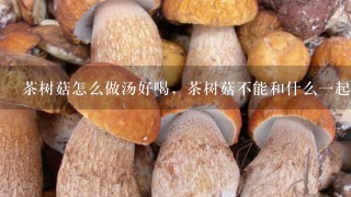 茶树菇怎么做汤好喝，茶树菇不能和什么一起煲汤