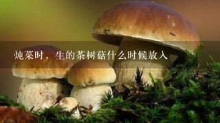 炖菜时，生的茶树菇什么时候放入