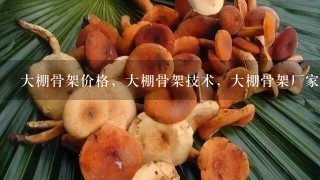 大棚骨架价格，大棚骨架技术，大棚骨架厂家