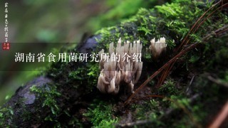 湖南省食用菌研究所的介绍