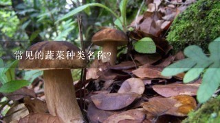 常见的蔬菜种类名称？