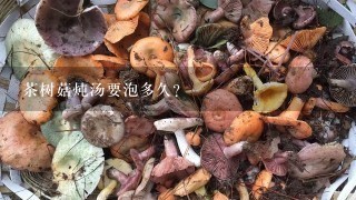 茶树菇炖汤要泡多久？