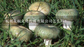 杭州花椒文化传媒有限公司怎么样？