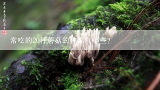 常吃的20种蘑菇的种类有哪些？