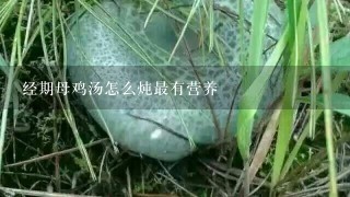 经期母鸡汤怎么炖最有营养