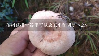 茶树菇排骨汤里可以放玉米和胡萝卜么？