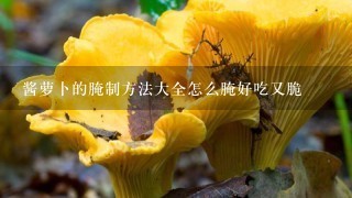 酱萝卜的腌制方法大全怎么腌好吃又脆