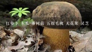 红萝卜 木瓜 茶树菇 五指毛桃 无花果 灵芝 荷包蛋 对人体都有什么作用？