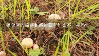 极食网的榛蘑和茶树菇有什么不一样吗？