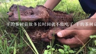 干的茶树菇放多长时间就不能吃了 干的茶树菇存放时