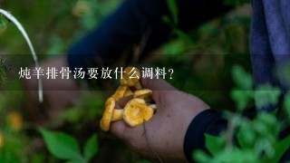 炖羊排骨汤要放什么调料？