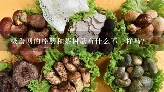极食网的榛蘑和茶树菇有什么不一样吗？